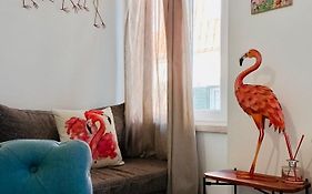 Flamingo